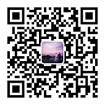 機(jī)場(chǎng)鋼筋網(wǎng)圍界、鋁包鋼機(jī)場(chǎng)圍界、監(jiān)獄鋼網(wǎng)墻、看守所隔離網(wǎng)、巡邏道隔離網(wǎng)、保稅區(qū)圍網(wǎng)